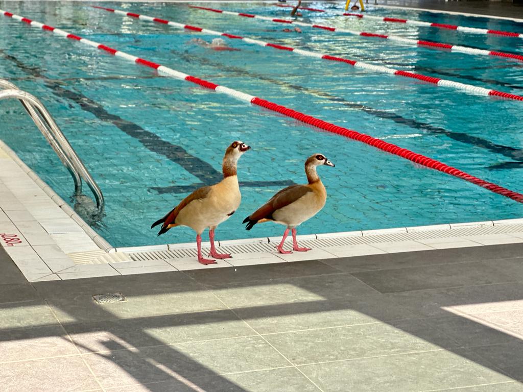 WhatsApp Image 2023-11-02 at 08.40.24 (3).jpeg